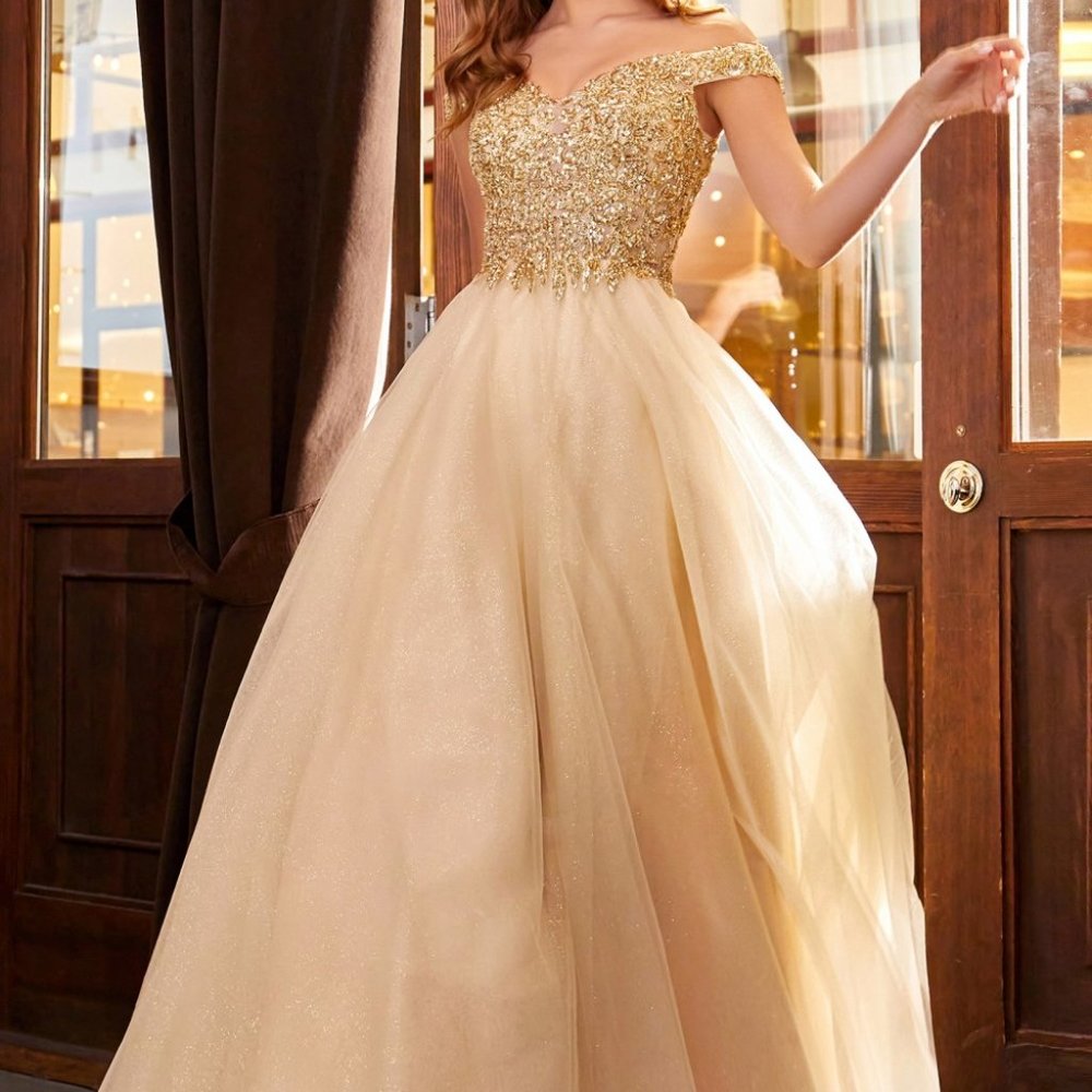 CHAMPAGNE  PROM PARTY EVENING LONG OFF THE SHOULDER A-LINE DRESS CD0177 - Picture 7 of 7